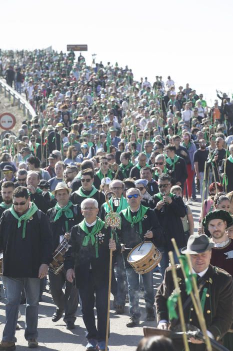 Magdalena 2019: Romeria de les canyes