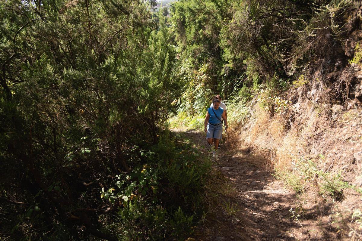 Tenerife Vaciada: Hoya de Pablos, Los Realejos
