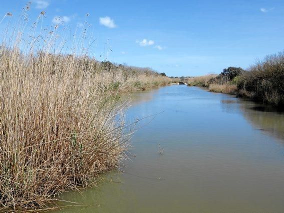 Albufera