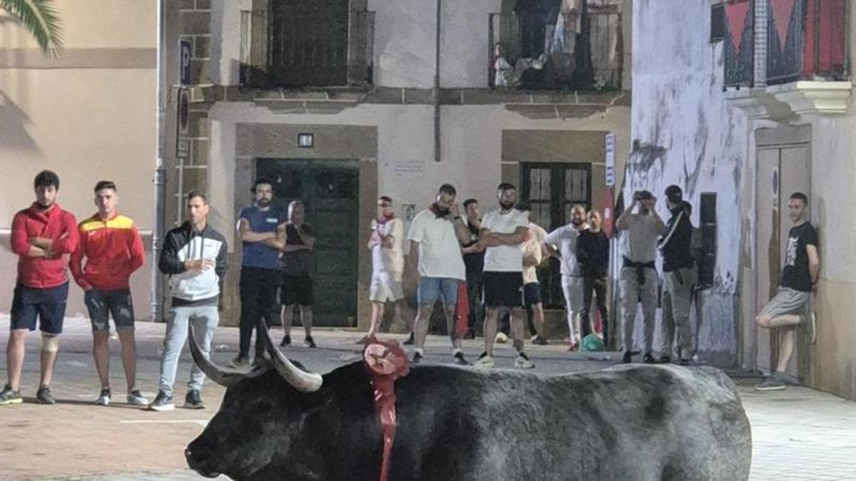 Toro de la madrugada del 26 de junio en Coria.