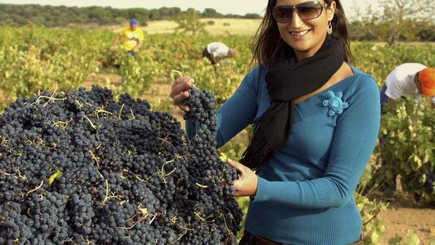 La extrabajadora de la bodega posa junto a racimos de uva recolectados en la vendimia.