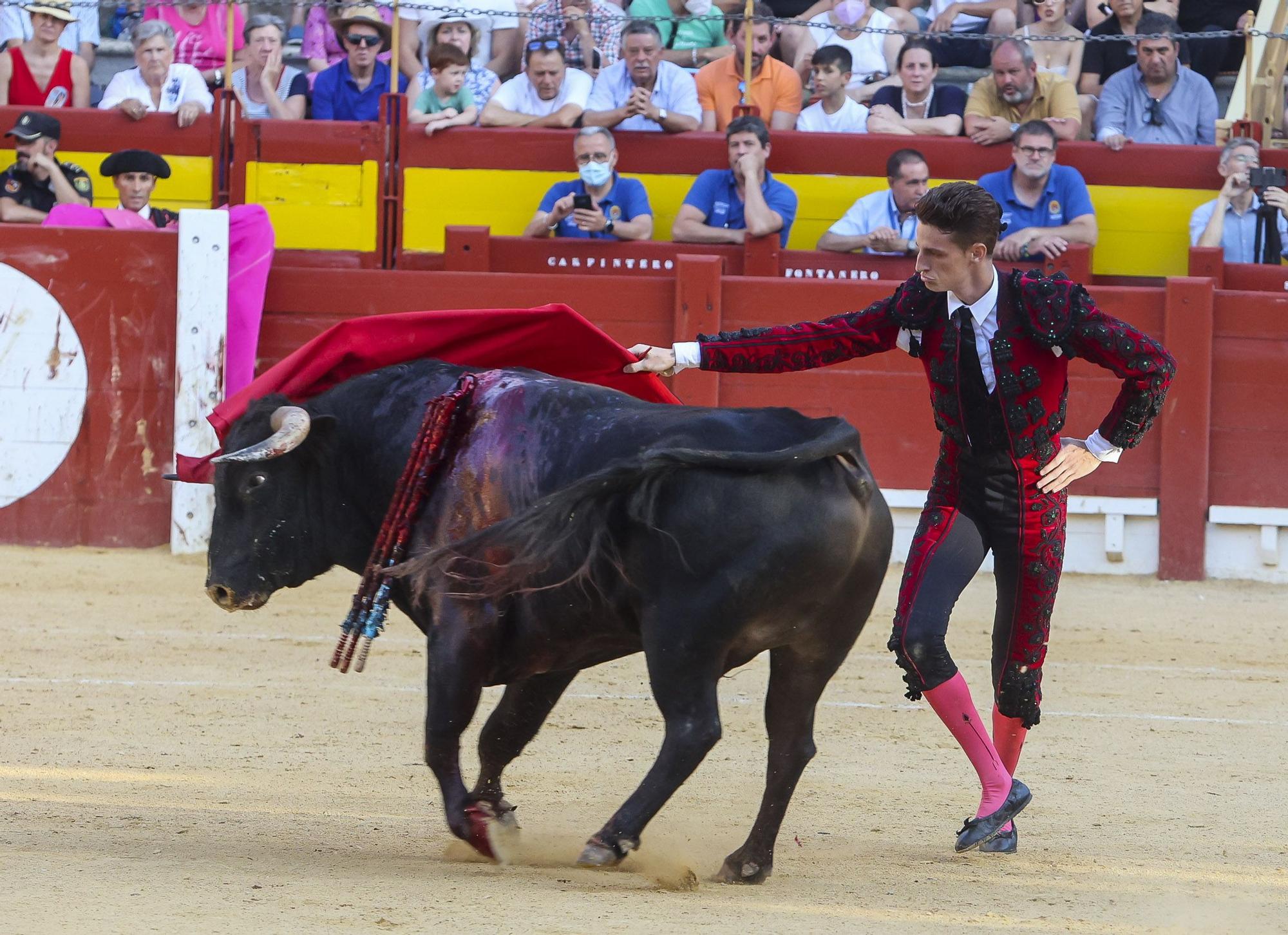 Novillada de Zacarías Moreno para cerrar la Feria de Hogueras