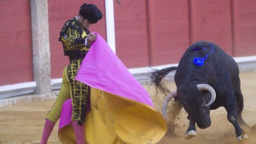 Verónica de Morante de la Puebla en la plaza de toros de Toro