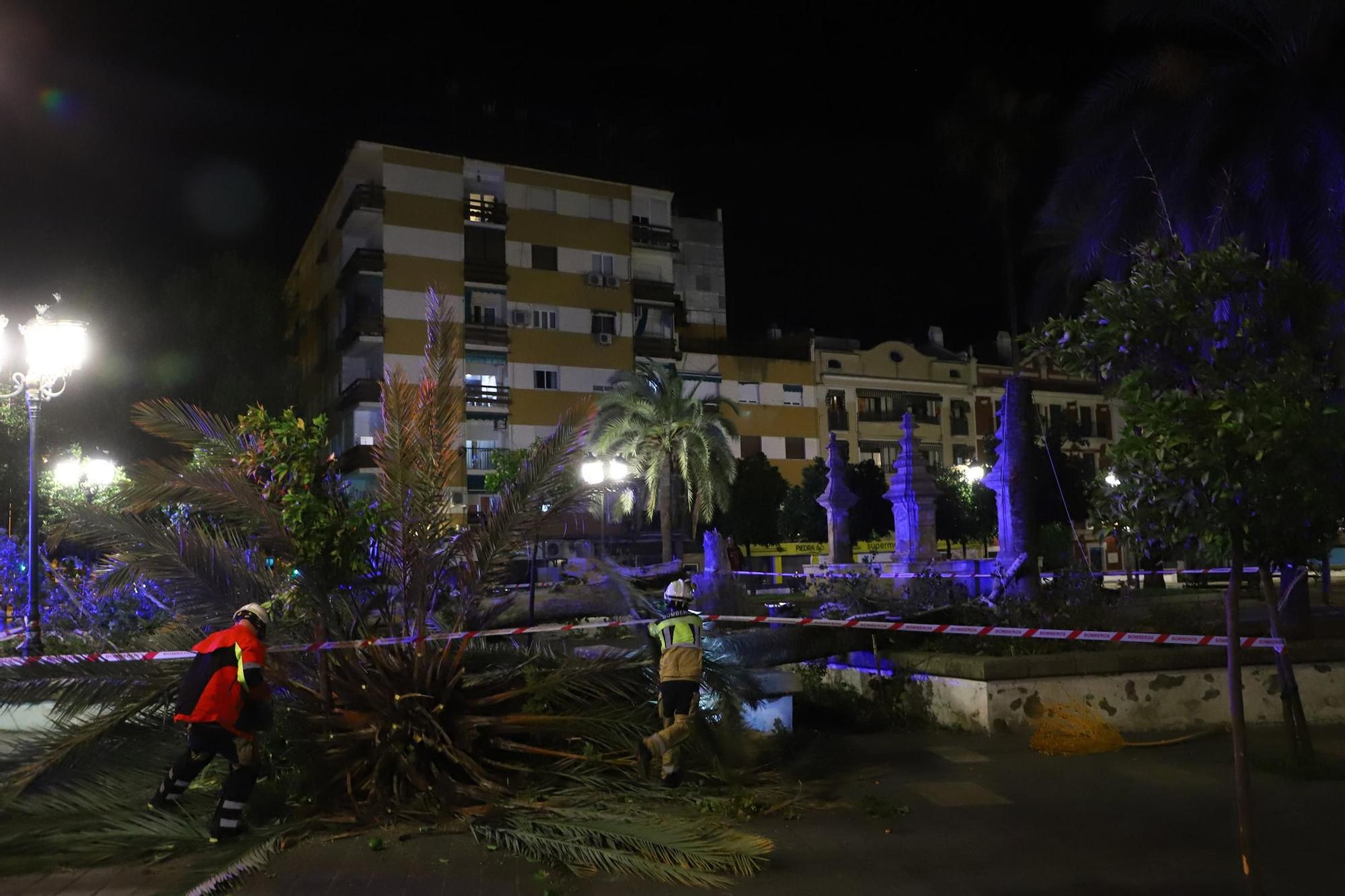 Los efectos del temporal en Córdoba, en imágenes