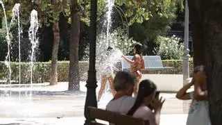 El vandalismo obliga a reforzar la seguridad en la Glorieta de Xàtiva