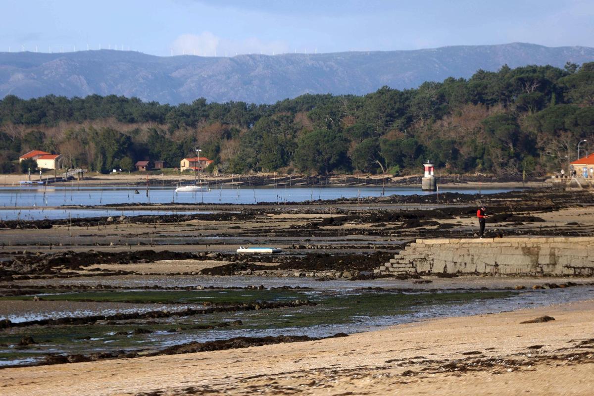 La ría asiste a las primeras "mareas vivas" del año.