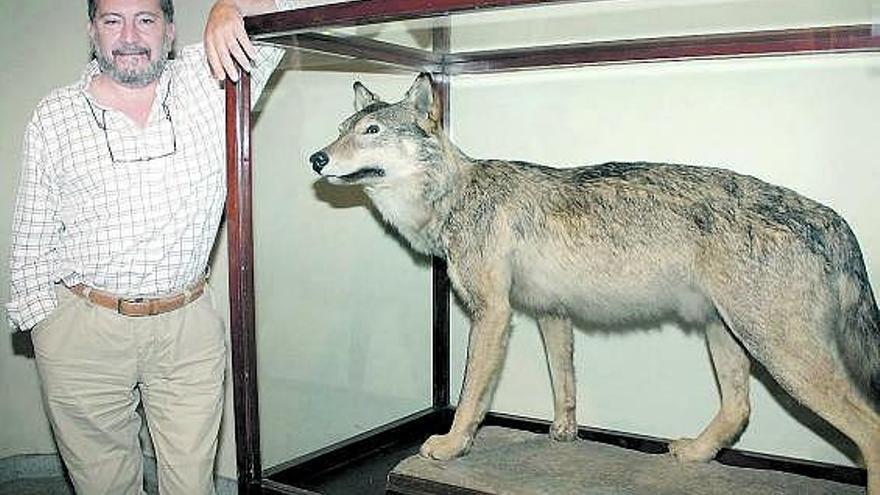 El investigador científico Francisco Javier Lobón Cerviá, en el Museo Nacional de Ciencias Naturales, en Madrid.