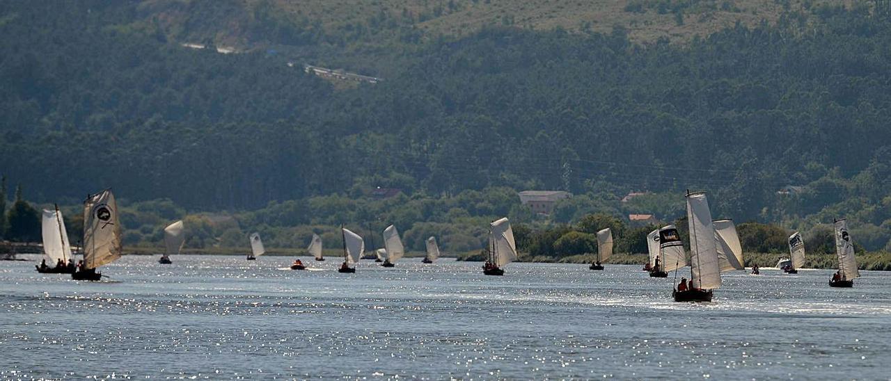 Un grupo de ronas remonta o Ulla camiño do parque do Espolón de Padrón en 2019.   | // NOÉ PARGA