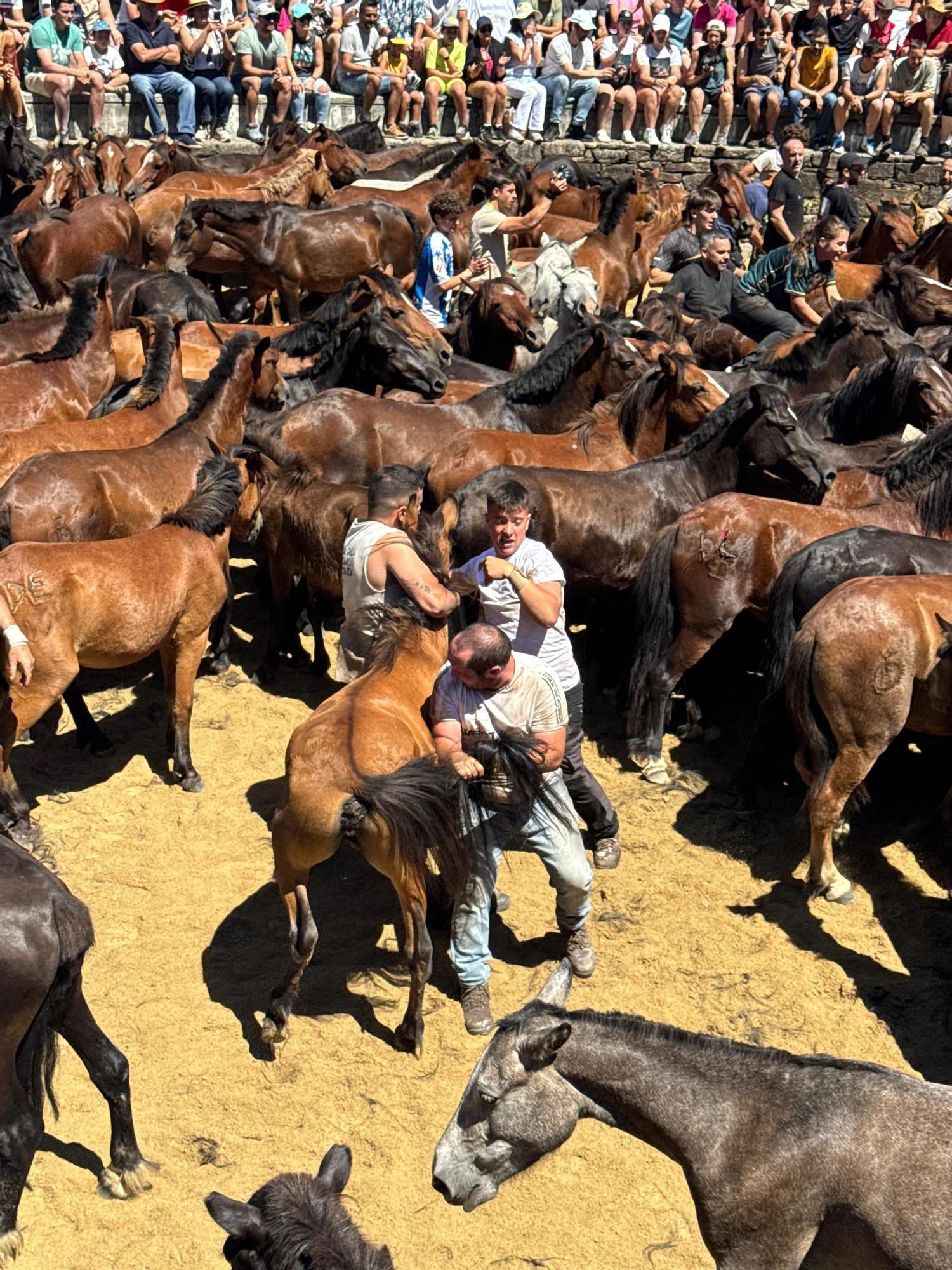 Sabucedo celebra su primera rapa como BIC