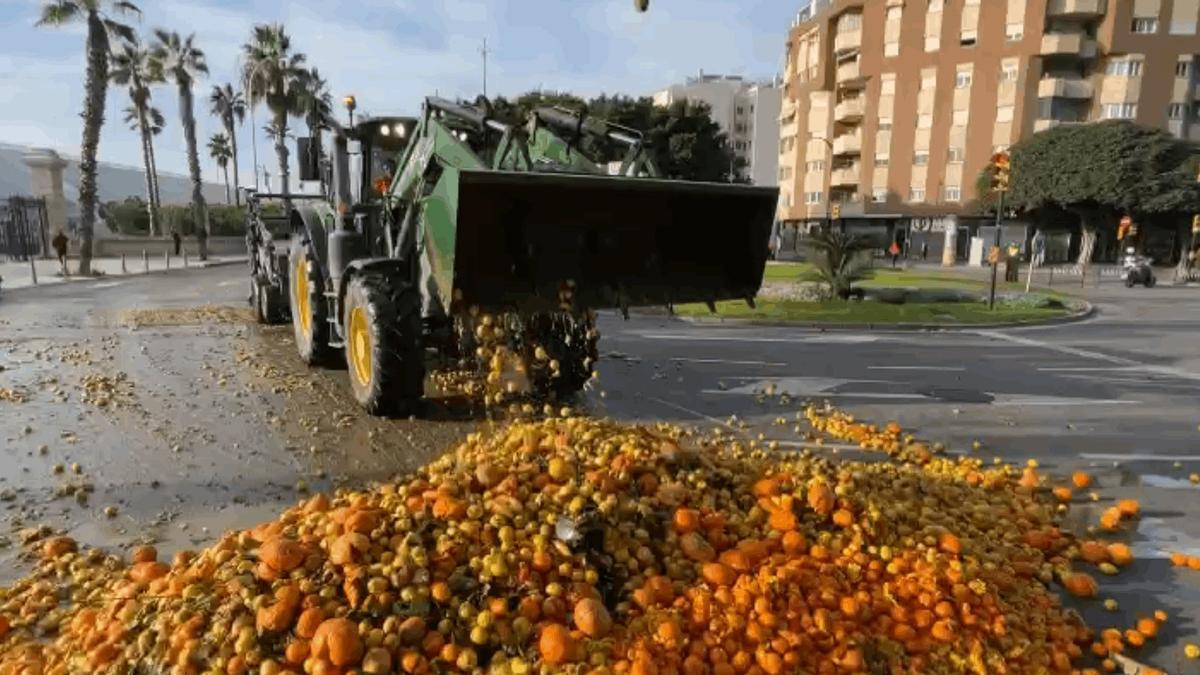Los agricultores de Málaga echan naranjas para bloquear el acceso al Puerto por San Andrés.