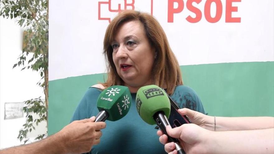 El PSOE critica que la Junta «paralice» la nueva Ley de Violencia de Género