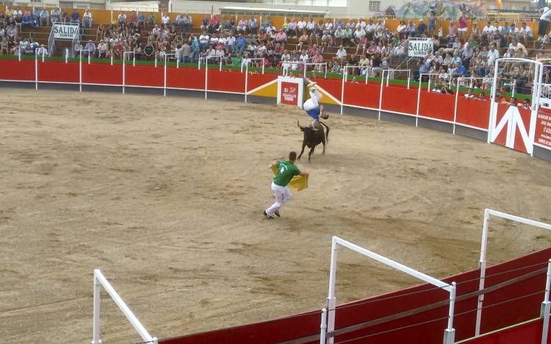 Fotogalería del concurso 'Aragón en Fiestas'