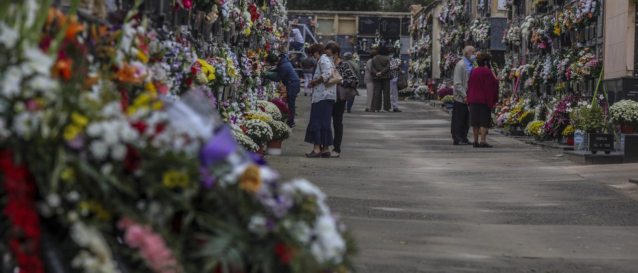 Un cementerio de la provincia durante la celebración de Todos los Santos el año pasado.