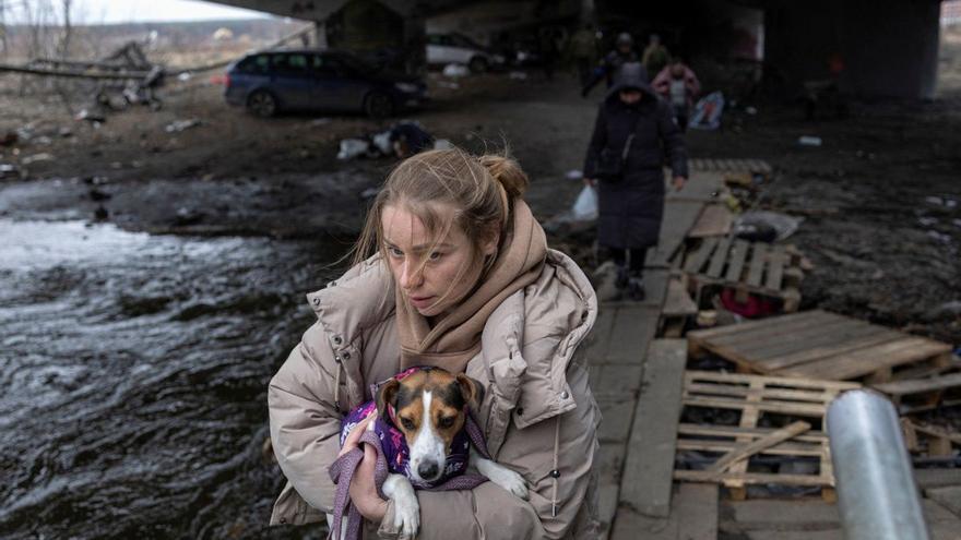Las mascotas olvidadas de Ucrania: &quot;Cuando las personas no tienen alimento, para los animales es mucho peor&quot;