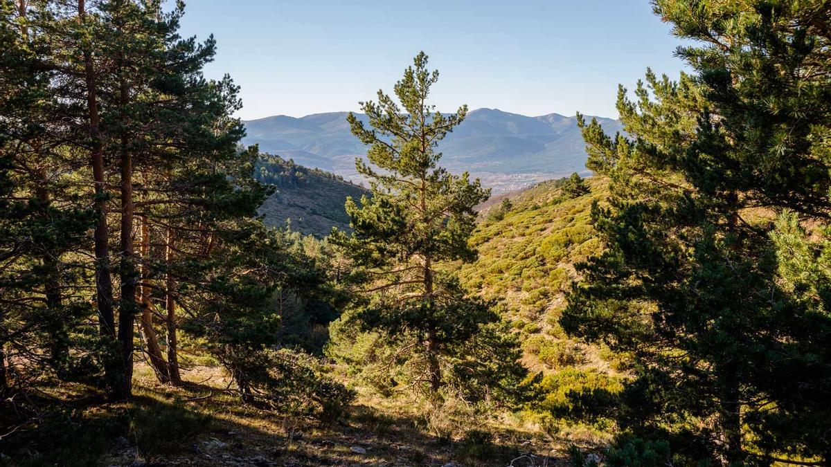 Paseo virtual por la Sierra de Guadarrama