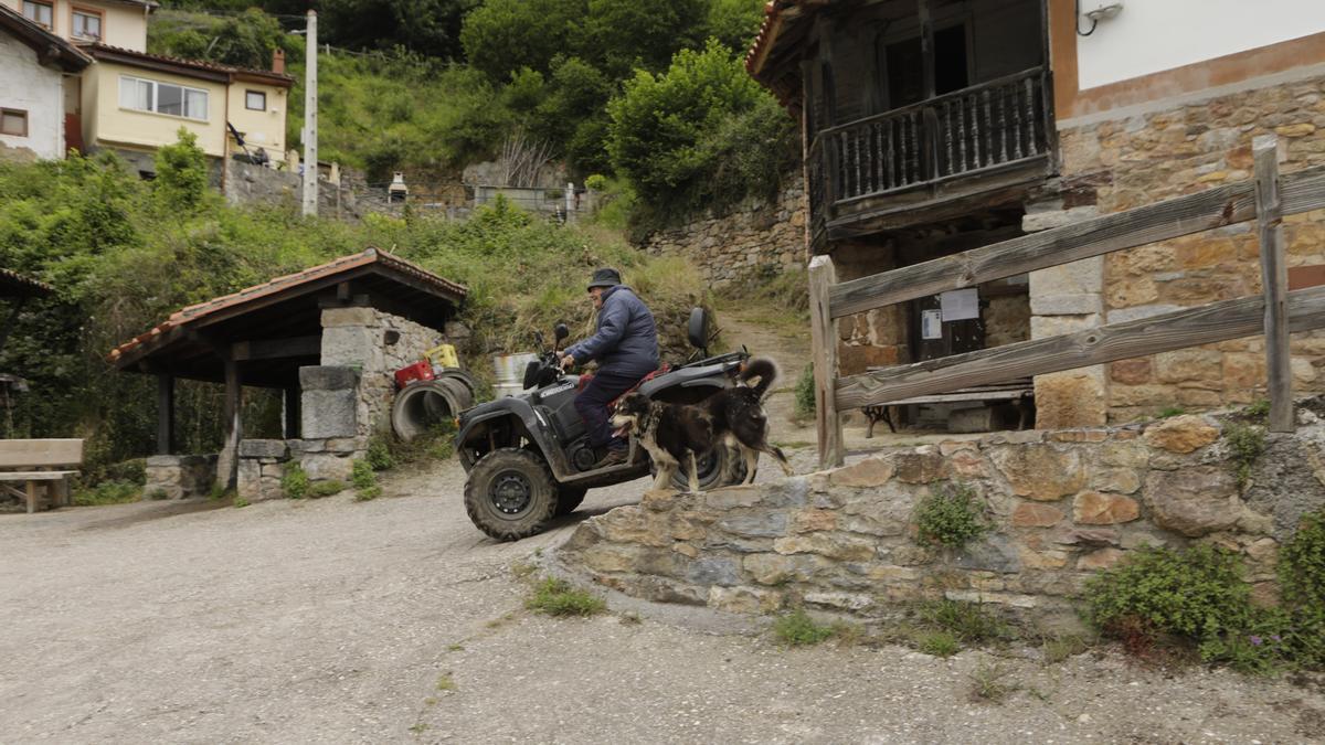 Bandujo, galería de fotos del pueblo más guapo de Asturias