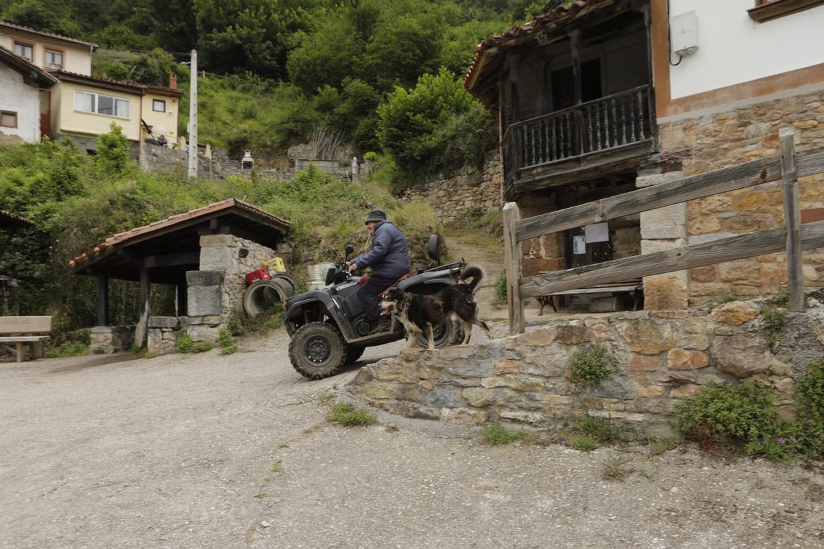 Bandujo, galería de fotos del pueblo más guapo de Asturias