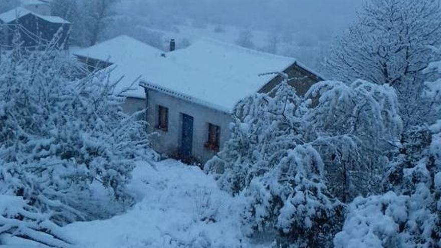 Nieve en San Martín de Castañeda.