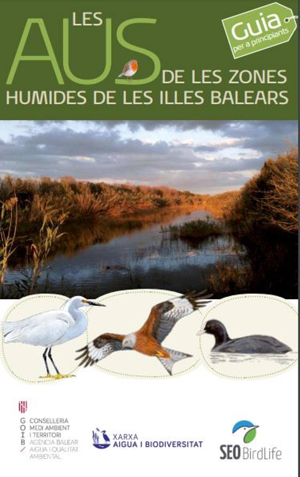 ¿Qué aves se pueden encontrar en las zonas húmedas de Mallorca?