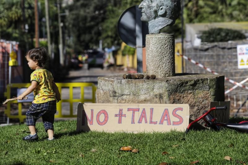 Tala de árboles en La Laguna