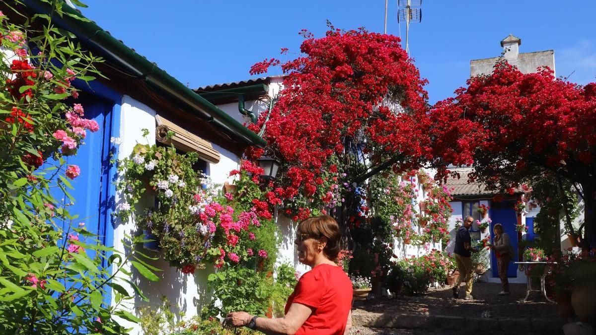 El patio de Marroquíes, 6