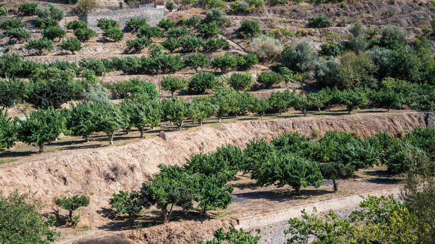 Entra en vigor la Ley Europea de Restauración de la Naturaleza, que obliga a recuperar espacios degradados