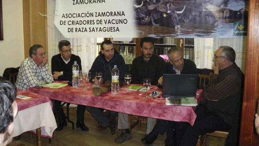 Un balneario para la nieta del uro