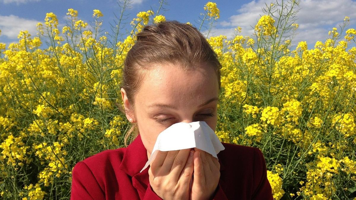 Les 12 plantes que provoquen més al·lèrgia al pol·len a Espanya