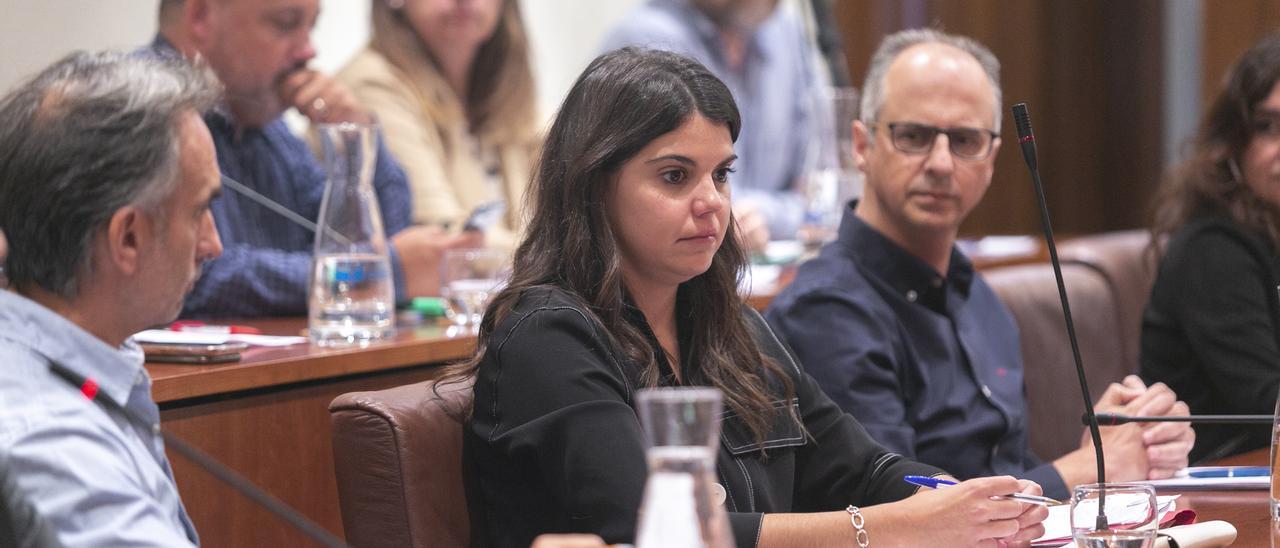 Raquel Ruiz, en un Pleno municipal.