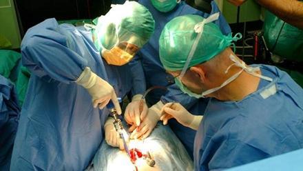 El Hospital Dr. Negrín enseña a especialistas europeos su pionera técnica  de implantes de columna vertebral - La Provincia