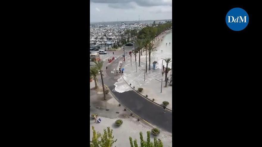 Rissaga en Alcúdia el pasado 24 de agosto