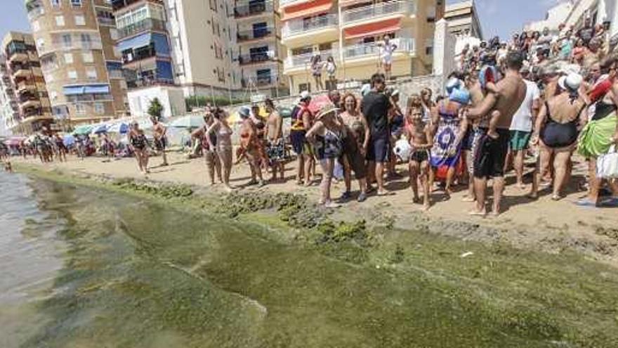 El Ayuntamiento culpa a las salinas de la suciedad en la playa del Acequión