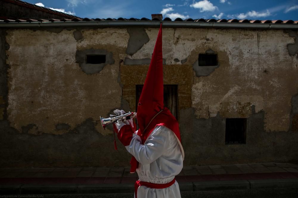 Semana Santa 2018: Procesión de palmas Villaralbo