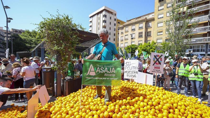 ASAJA exige al Consell presupuesto para obras hidráulicas al sur de la provincia que compensen el recorte del Tajo-Segura