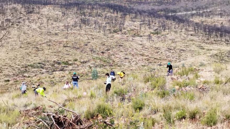 La iniciativa Cascos Verdes premia a diez centros escolares por sus proyectos contra el cambio climático