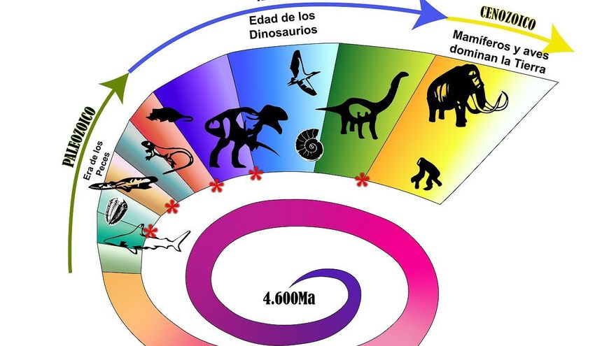 Estos son los primeros animales que salieron del mar para ir a tierra firme: no son los que se pensaba