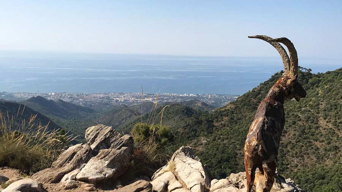 Bosque El Juanar de Ojén, uno de los parajes naturales más hermosos de Málaga
