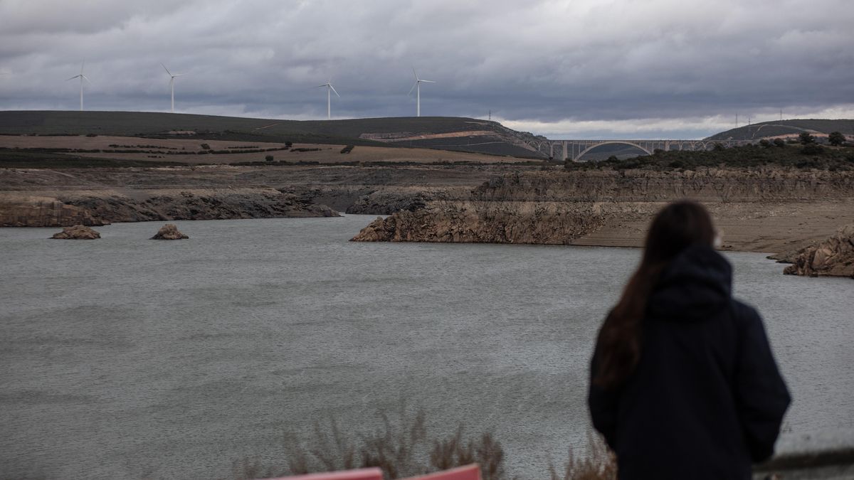 Actual estado del embalse de Ricobayo, en diciembre de 2021, desde el puente de Manzanal del Barco.