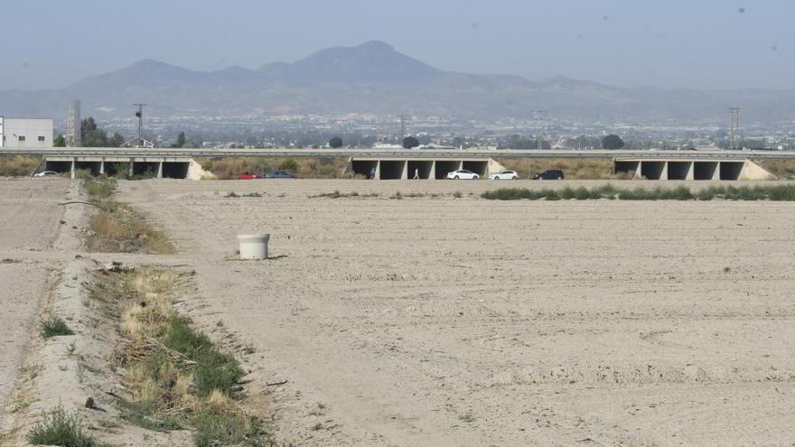 La rambla de Biznaga, situada entre las pedanías de Purias y Almendricos, comenzará las obras de mejora en los próximos días.