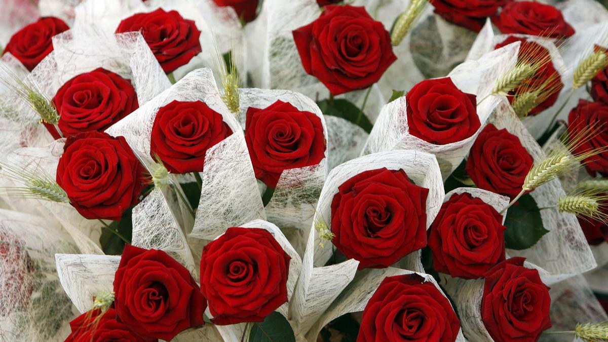 Rosas de Sant Jordi de floristerías