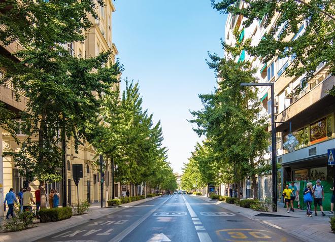 Calle Gran Vía de Colón.