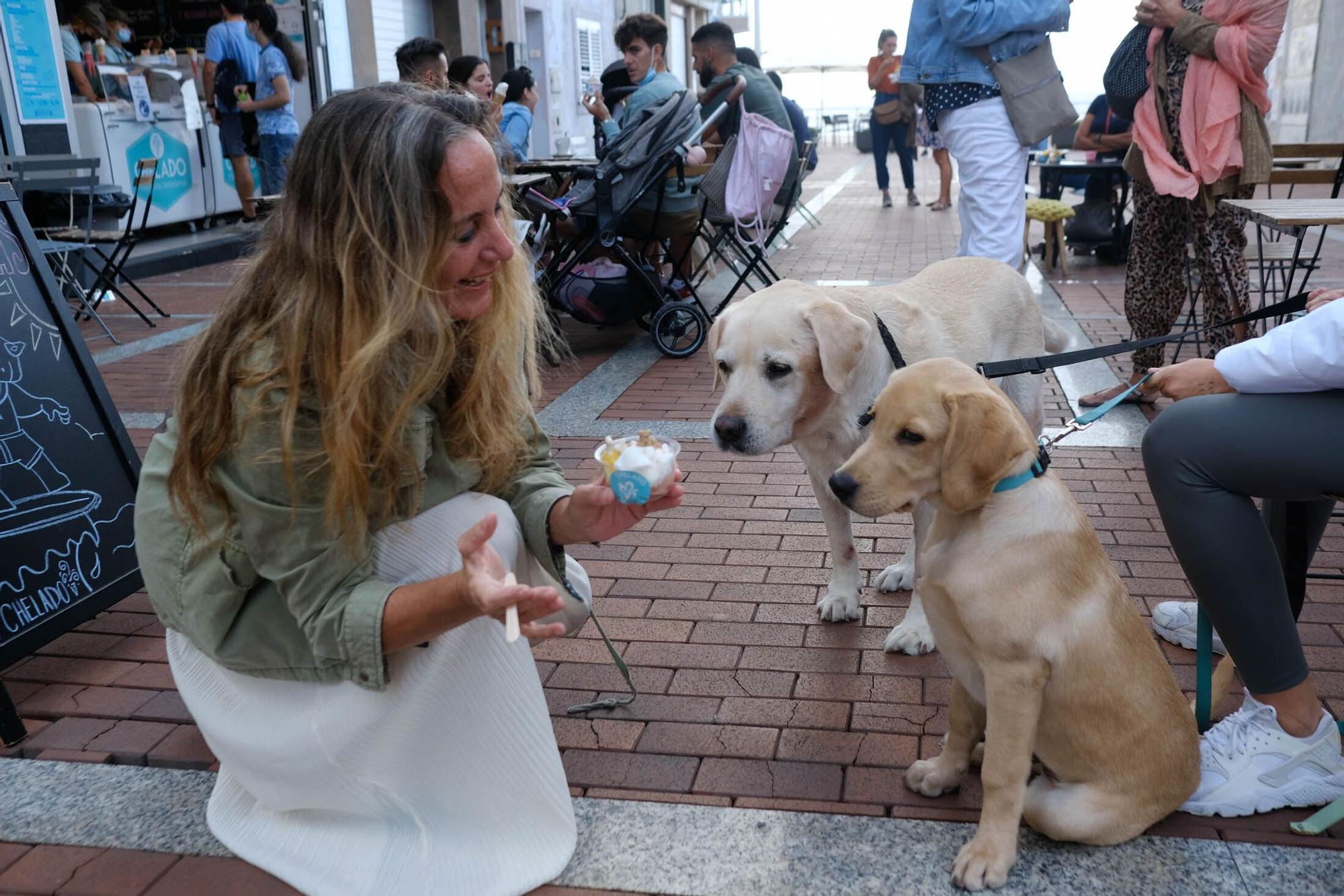 Una heladería de la Cícer vende entre sus productos helados aptos para perros