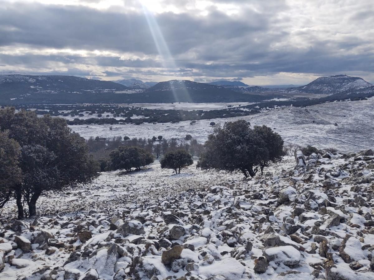 Amanecen nevadas zonas de Los Pedroches y la Subbética