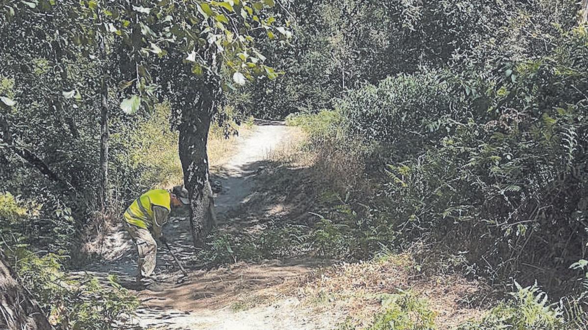 Operarios del Concello retirando restos del paseo en la Moscadeira.