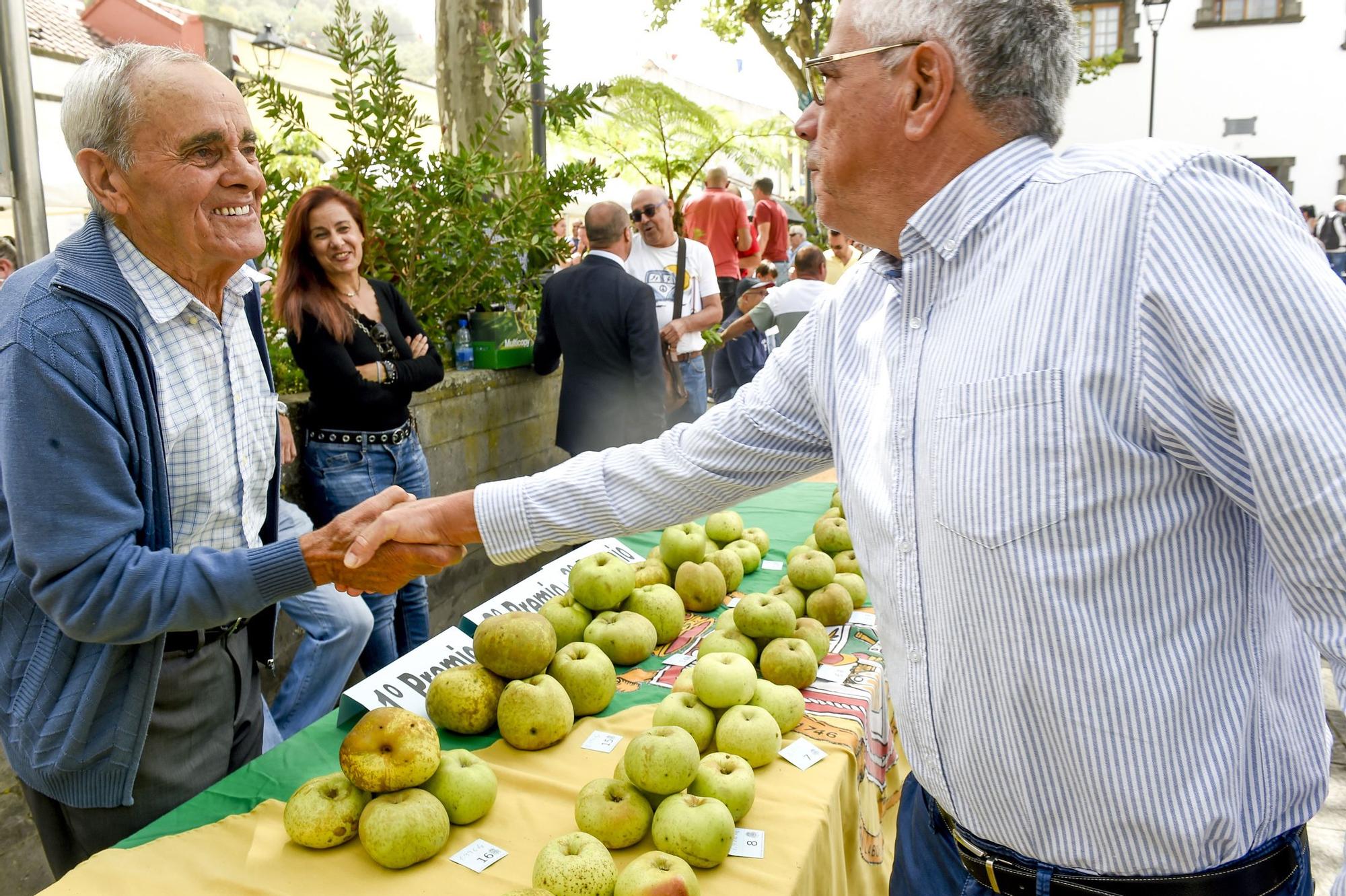 Fiestas de la manzana de Valleseco