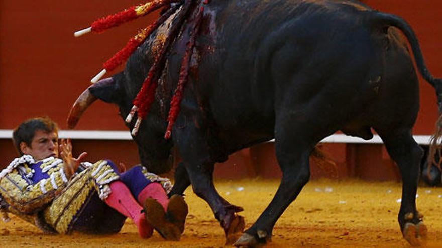 El Juli ha recibido una herida por asta de toro de 15 centímetros