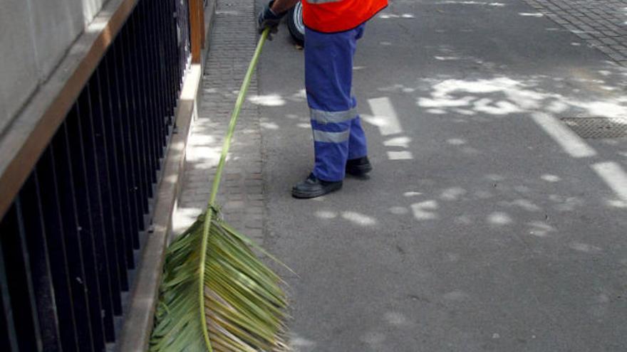 Un barrendero con una palmera.