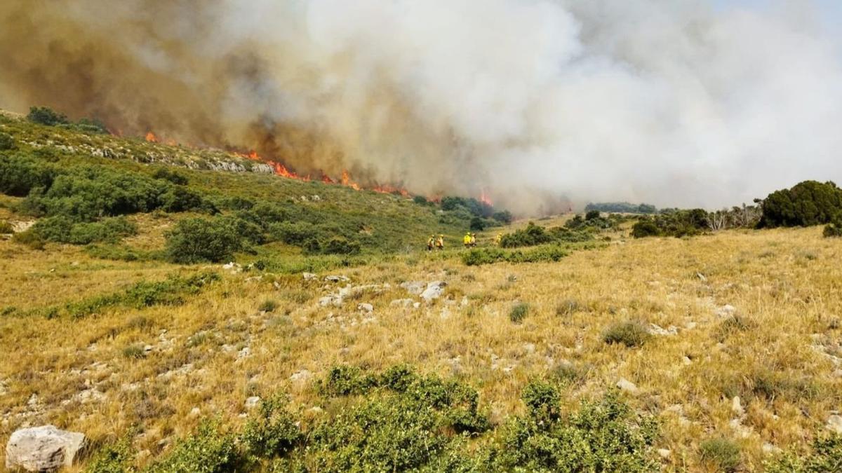 Bomberos forestales en el incendio de ayer en el término municipal de Xert. | LEVANTE-EMV