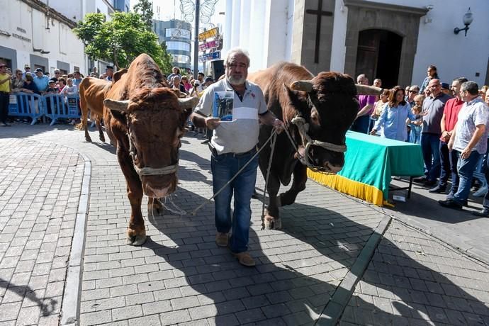 FIESTAS DE SAN GREGORIO TELDE