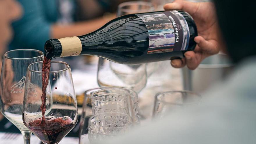 Bodega Piedra Fluida Unveils High-Altitude Tenerife Vineyard Tastings